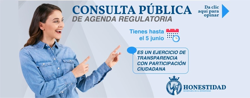 Consulta publica agenda regulatoria