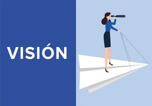 vision